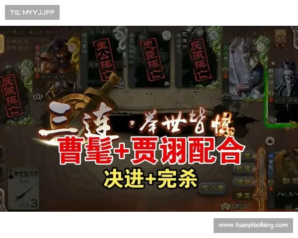 智战三国:贾诩盾中心 智战三国:贾诩盾中心