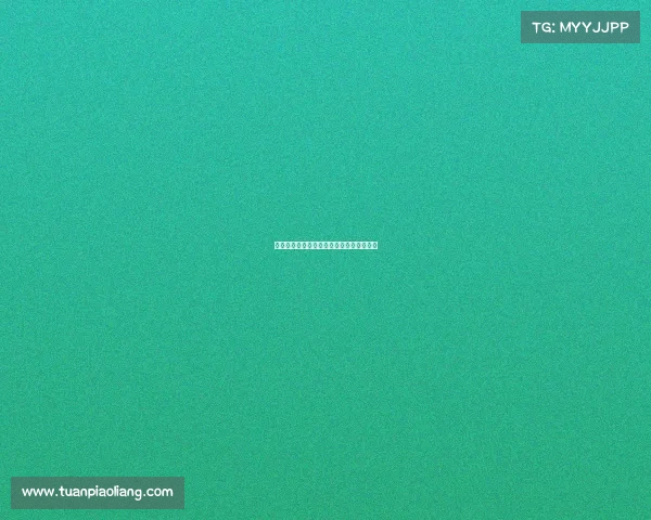 洛阳嘉明电子竞技—洛阳嘉捷商贸有限公司